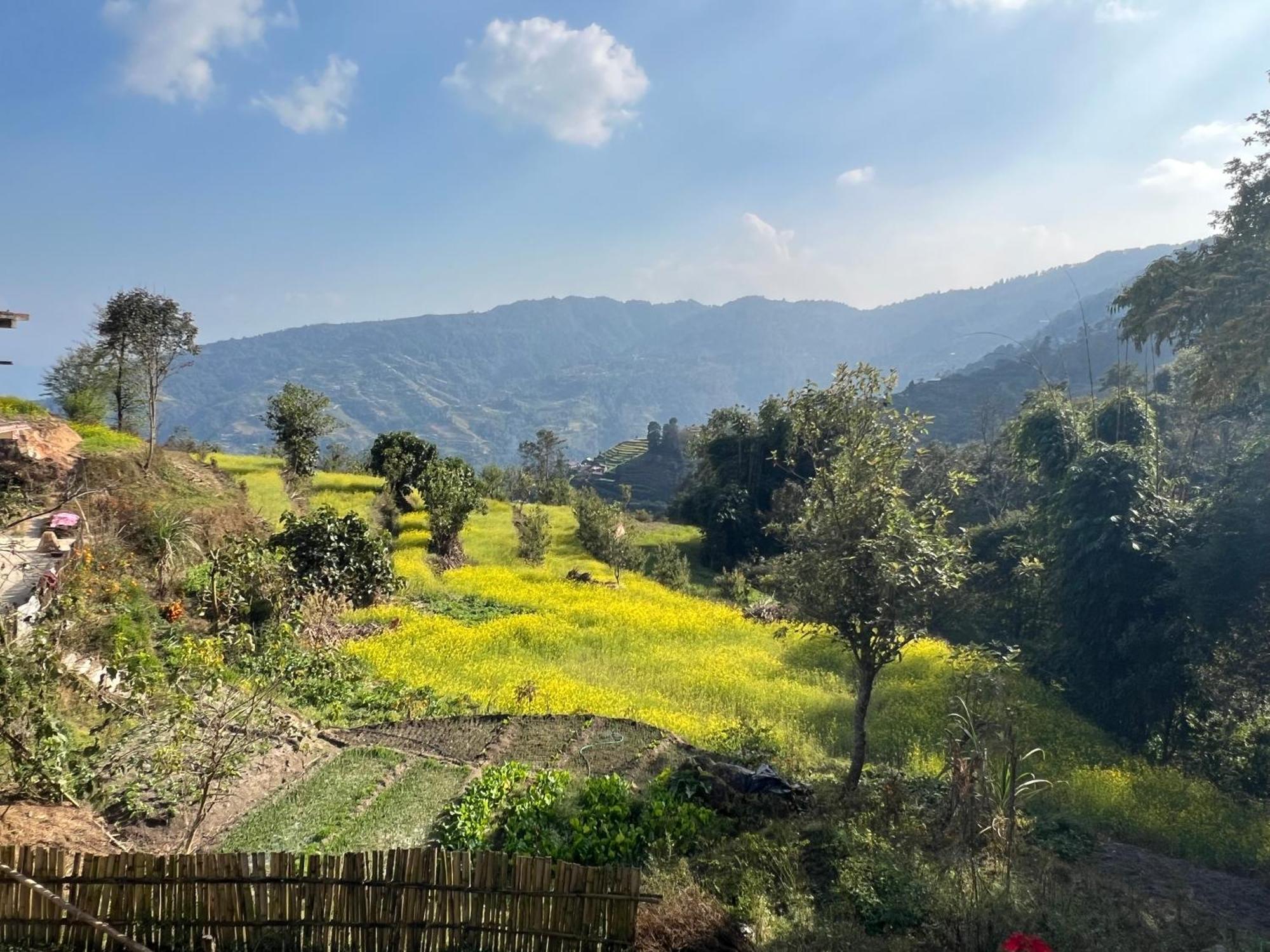 Hotel Village View 나가르코트 외부 사진