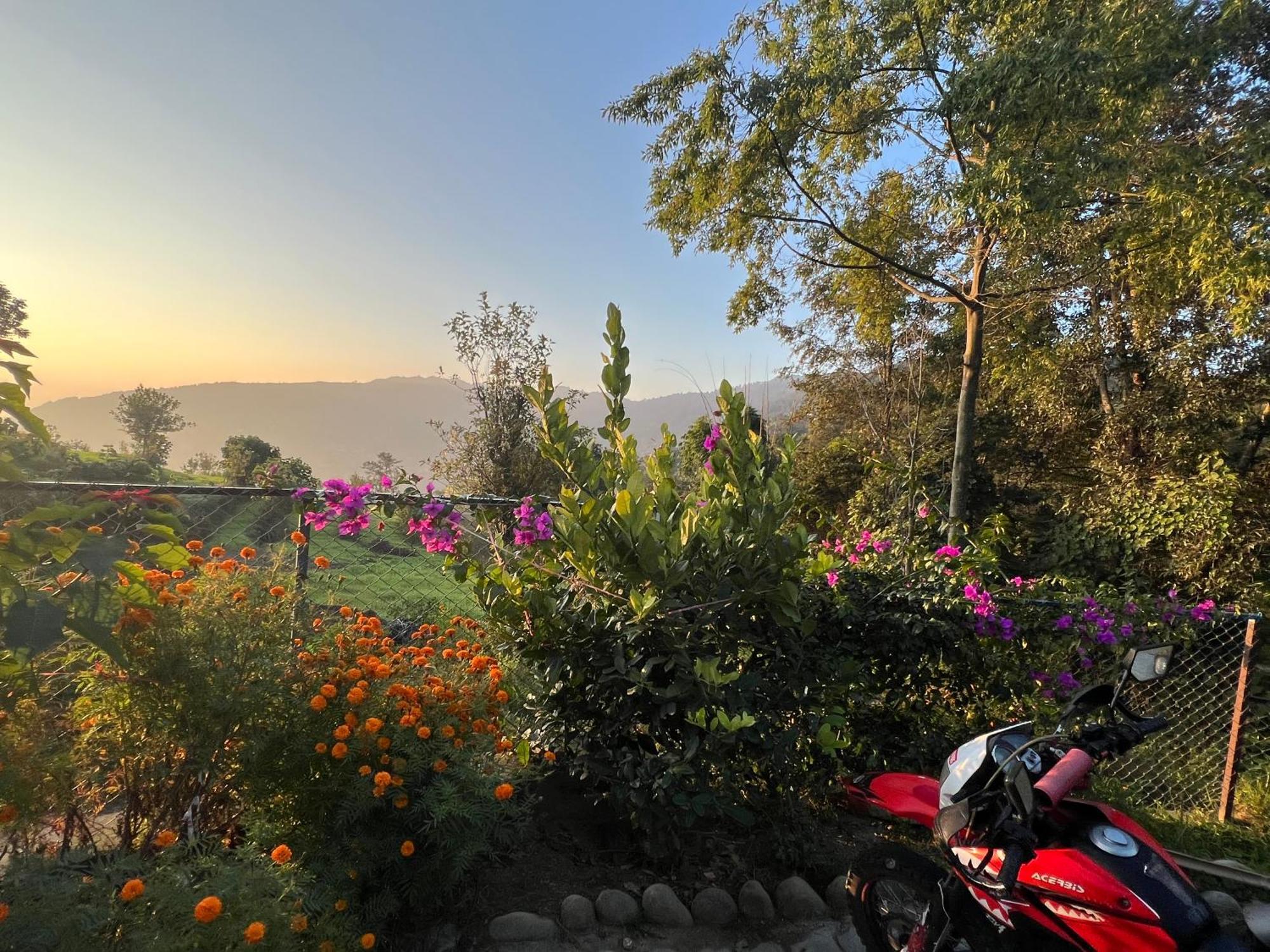 Hotel Village View 나가르코트 외부 사진